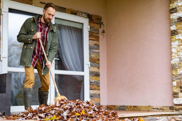 Best Furniture Removal Near Me  in Forestville, CA
